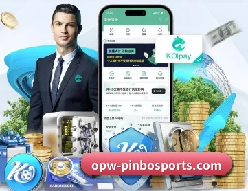 拼搏体育 APP 深度功能