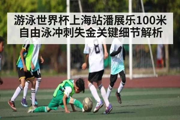 游泳世界杯上海站潘展乐100米自由泳冲刺失金关键细节解析